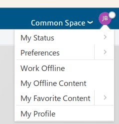 3DEXPERIENCE Preferences Menu